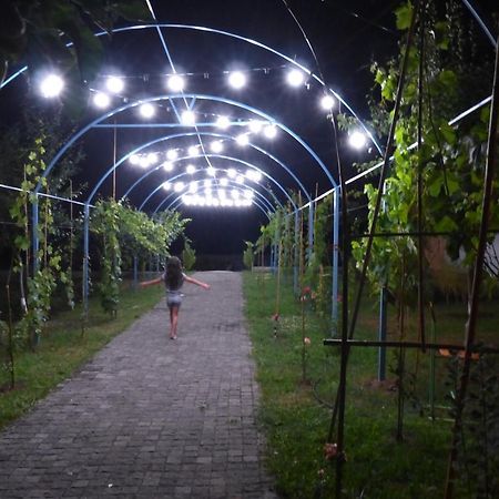 Villa "Zepuri" Dushet'i ภายนอก รูปภาพ
