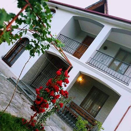 Villa "Zepuri" Dushet'i ภายนอก รูปภาพ