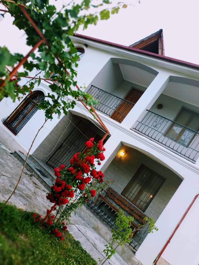 Villa "Zepuri" Dushet'i ภายนอก รูปภาพ