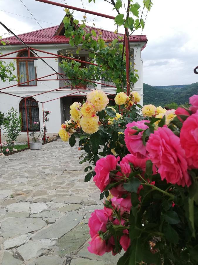 Villa "Zepuri" Dushet'i ภายนอก รูปภาพ