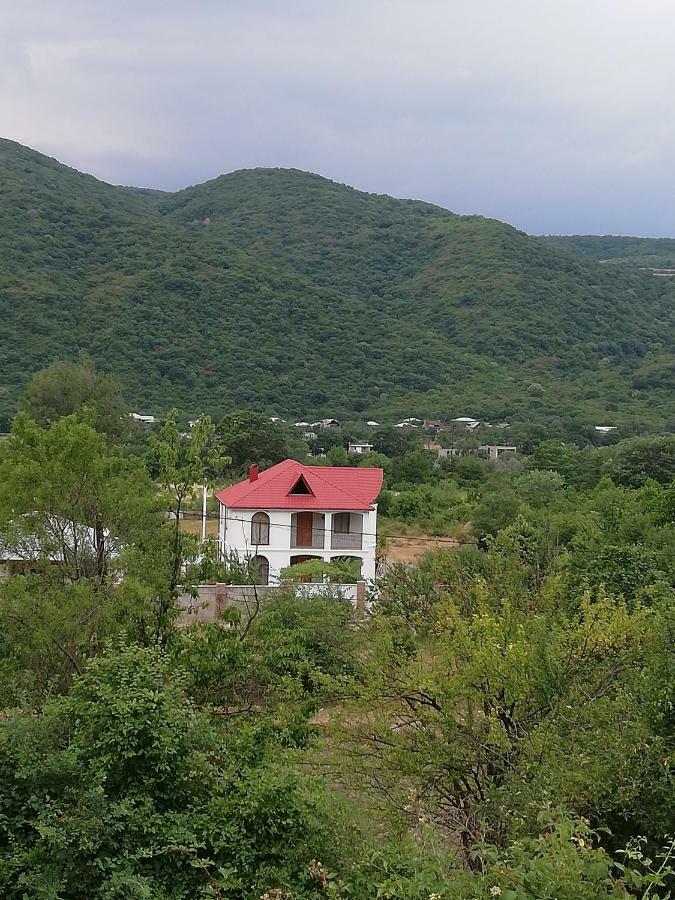 Villa "Zepuri" Dushet'i ภายนอก รูปภาพ